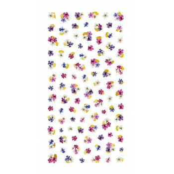 ツメキラ ネイルシール noble ドライフラワーと金箔1 NO-DFG-101(ジェル専用)