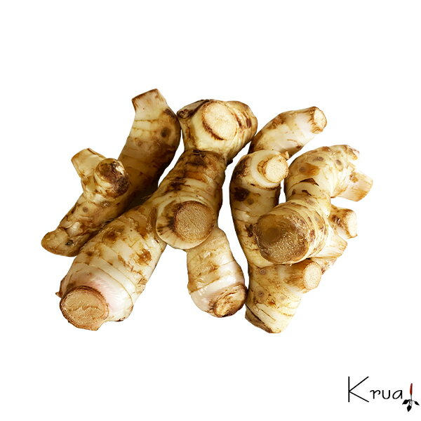 ガランガル カー 500g 【大人気 新鮮タイ生野菜 タイ輸入野菜】 【タイ定番野菜 トムヤムクン作りに最適！】 タイハーブ トムカーガイ ゲンパー ナンキョウ タイの生姜のサムネイル