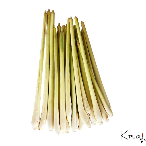 レモングラス タクライ 500g 【大人気 新鮮タイ生野菜 タイ輸入野菜】 【タイ定番野菜 トムヤムクン 作りに最適！】 グリーンカレー トムカーガイ ゲンパー タックライ タカイのサムネイル