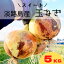 『糖度9度~10度』 送料無料 淡路島 玉ねぎ たまねぎ 5kg タマネギ 玉葱 淡路島たまねぎ 淡路島玉ねぎ 淡路島タマネギ 淡路島産たまねぎ 兵庫県淡路島 淡路島産 5キロ 2,880円