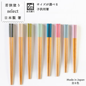 select 箸 子供用 お箸 食洗機対応 単品 セレクト おしゃれ 日本製 16.5cm 18cm 19cm 六角 小さめ すべり止め 子ども キッズ サイズ 普段遣い 男の子 女の子 小学生 低学年 中学年 高学年 ネコポス