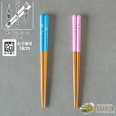 【15日限定!10%OFFクーポンあり】箸 子供 パンダ お箸 若狭塗 日本製 食洗機対応 滑り止め すべりにくい 18cm シンプル 単品 ピンク ブルー ぷかぷかパンダ ひまわり堂 ネコポス