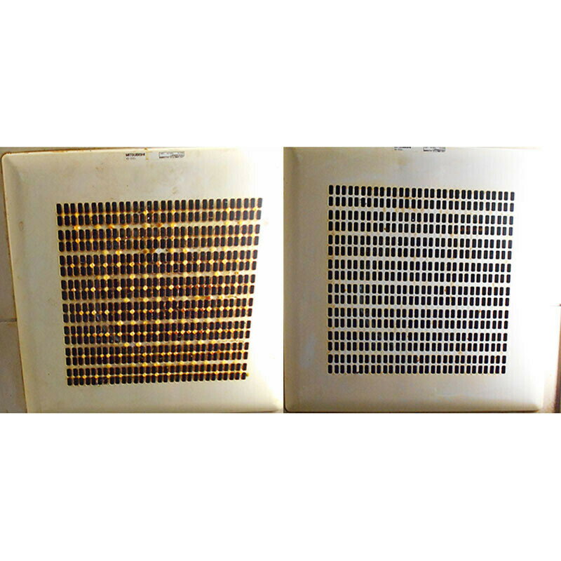 �ڥ��å����ݽ����ʡۡ��٥ȥ٥���������� ������������� ��Ǥʱ������ѥ��꡼�ʡ� 20����������ʬ����ʬ�۹���������ʬ�򤷤ƿ�����롪