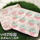 【アウトレット価格:SK】『いちご時間』タオルハンカチ 約23×23cm ジャガード 甘撚り ミニハンカチ シンジカトウ カトウシンジ 日本製 国産 泉州タオル...