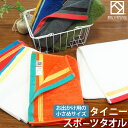 『タイニー』 スポーツタオル 約25×100cm 【泉州こだわりタオル認定】 短め 小さめ タオルマフラー マフラータオル 無地 ボーダー ジム 登山 アウトド...