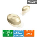 RADIUS ノイズキャンセリング対応 完全ワイヤレスイヤホン HP-T200BTN ゴールド
