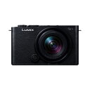 Panasonic(パナソニック) フルサイズミラーレス一眼カメラ/ 広角ズームレンズキット LUMIX(ルミックス) S9 DC-S9N-K ジェットブラック