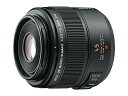 Panasonic(パナソニック) 交換用レンズ マイクロフォーサーズ H-ES045