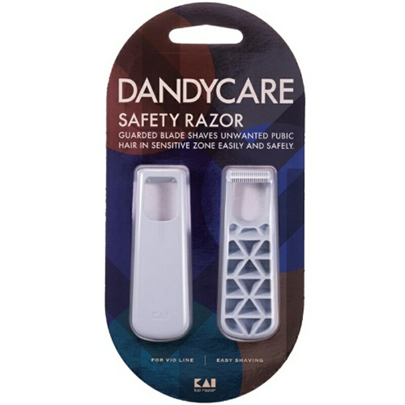 貝印 DANDYCARE　2本入 GA0079