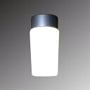 スワン電器 照明器具(浴室灯) SWL-127 電球色相当