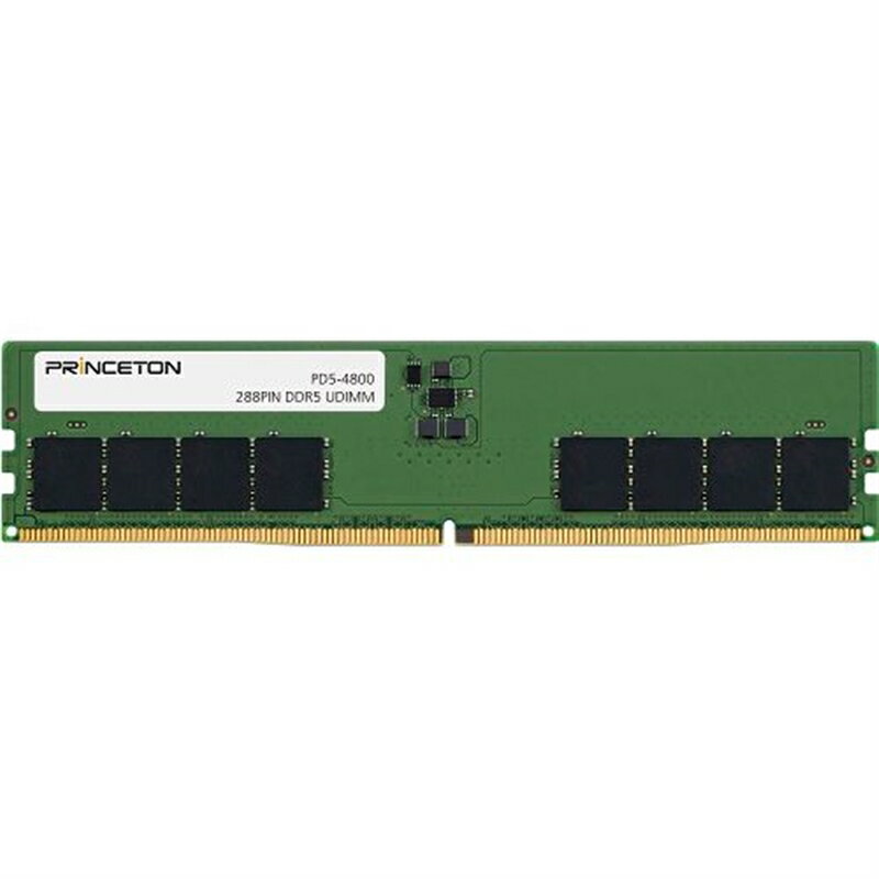 PRINCETON 16GBDDR5-4800288PINUDIMM PD5-4800-16G