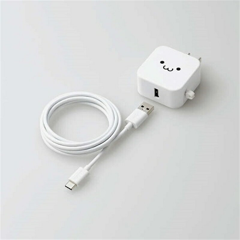 쥳 ACŴ(2.4A/A-C֥°Aݡȡ1 MPA-ACC23WF ۥ磻ȥե