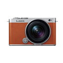 Panasonic(パナソニック) フルサイズミラーレス一眼カメラ/ 広角ズームレンズキット LUMIX(ルミックス) S9 DC-S9N-D キャメルオレンジ