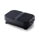MYTREX(マイトレックス) EMS 振動マシーン MYTREX W FIT ACTIVE MT-WFA22B
