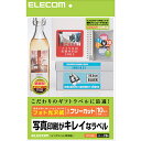 エレコム フリーカットラベル フォト光沢 ホワイト EDT-FKK A4サイズ / 10シート