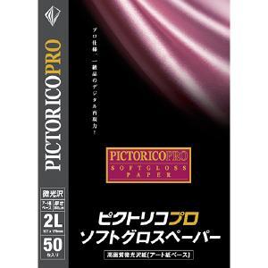 ピクトリコ プリンター特殊用紙 PPG210-2L/50