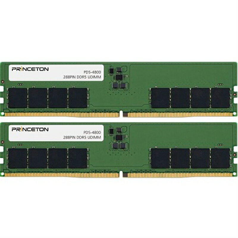 PRINCETON 32GB(16GB 2) DDR5-4800288PINUDIMM PD5-4800-16GX2