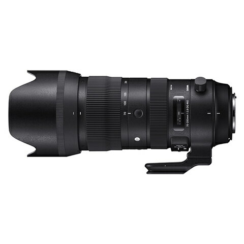 SIGMA（シグマ） 交換用レンズ　キヤノンEFマウント Sports 70-200mm F2.8 DG HSM (キャノン)