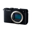 Panasonic(パナソニック) ミラーレス一眼カメラ LUMIX DC-S9 DC-S9-K ブラック ボディ