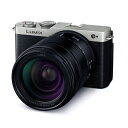 Panasonic(パナソニック) ミラーレス一眼カメラ LUMIX DC-S9 DC-S9H-S シルバー 高倍率ズームレンズキット