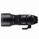 SIGMA(シグマ) 150-600mm F5-6.3 DG DN OS Sports ソニーEマウント用交換レンズ 150-600mm DG DN S SE