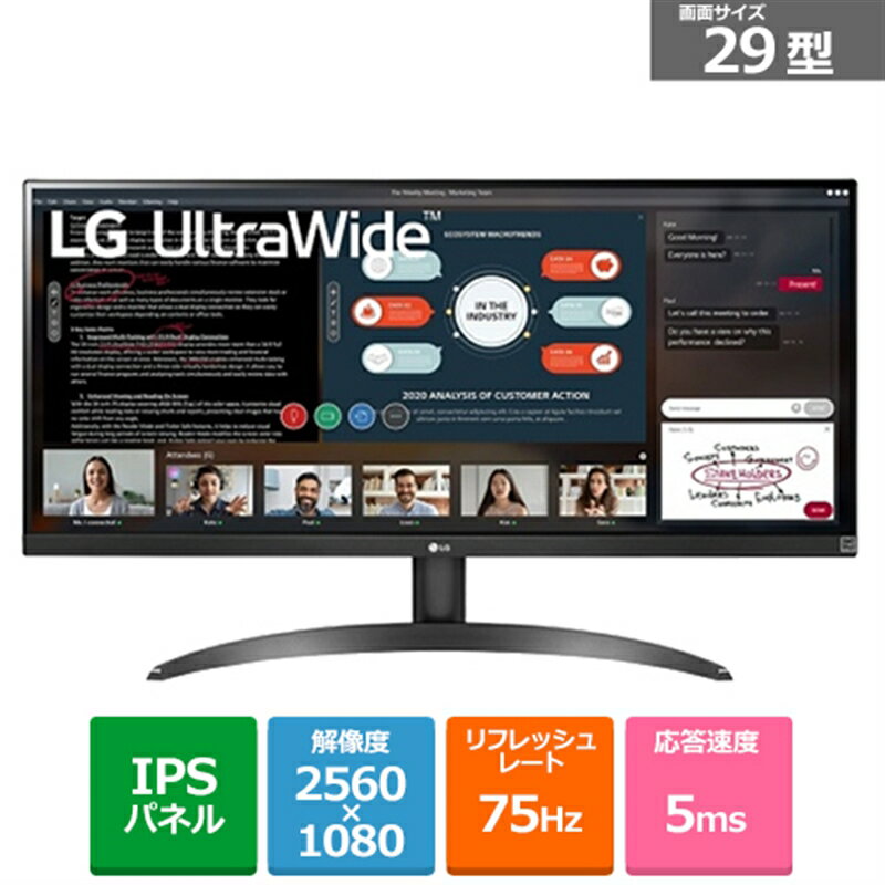 LG 29インチ ウルトラワイドモニター 29WP500-B