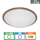 アイリスオーヤマ 照明器具(シーリングライト) CL12DL-5.1MXWFM 主に12畳用