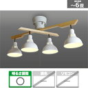 瀧住電機工業 照明器具(ロッドスポットライト) GL4020RSWH