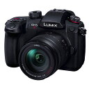 Panasonic(パナソニック) LUMIXミラーレス一眼 高倍率ズームレンズキット DC-GH5M2H