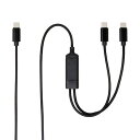 Ainex(アイネックス) USB-C二股充電ケーブル PD100W対応 1.2m UYC-CC12P10 ブラック(2)