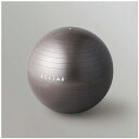 エレコム バランスボール(55cm/ブラック)ハンドポンプ付 HCF-BB55-BK ブラック