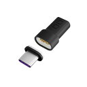 CIO USB-C マグネット変換アダプタ I字 (ストレートタイプ) CIO-MGCT-I-CC-BK ブラック