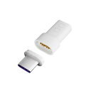 CIO USB-C マグネット変換アダプタ I字 (ストレートタイプ) CIO-MGCT-I-CC-WH ホワイト