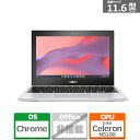 ASUS（エイスース） ASUS Chromebook CX1(CX1102) CX1102CKA-N00010 トランスペアレントシルバー