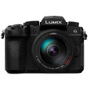 Panasonic(パナソニック) ミラーレス一眼カメラ LUMIX G99II 高倍率ズームレンズキット DC-G99M2H ブラック