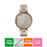 GARMINʥߥ ֥롡ޡȥå 010-02384-41 Light Sand/Rose Gold