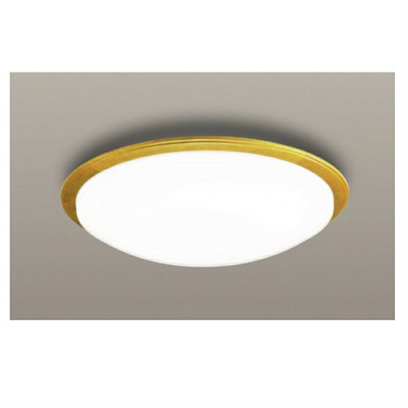 瀧住電機工業 照明器具（小型シーリングライト） TG20038D 昼光色