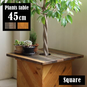 観葉植物がサイドテーブルに！おしゃれなプランツテーブルのおすすめランキング| わたしと、暮らし。