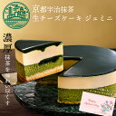 母の日 ケーキ 京都 宇治 抹茶 生 チーズケーキ ジェミニ 4号 (約12cm 2人用 ~ 4人用 ) チーズケーキ 抹茶スイーツ 誕生日ケーキ 抹茶ケーキ ...