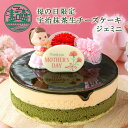 母の日 スイーツ 母の日限定 オーナメント付 京都 宇治抹茶 生 チーズケーキ ジェミニ 京都ヴェネト 4号 (約12cm 2〜4名様) 母の日 ギフト ケーキ...