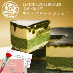 抹茶チーズケーキ 母の日 スイーツ 抹茶スイーツ 京都 宇治 抹茶 生 チーズケーキ ジェミニ 4号 (約12cm 2人用 ～ 4人用 ) │おしゃれ ケーキ ギフト プレゼント お取り寄せスイーツ 記念日 誕生日 バースデーケーキ 内祝 母の日ギフト 2024 | 京都ヴェネト あす楽