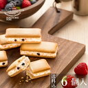 【送料込】神戸ミルクヨーグルトパ...
