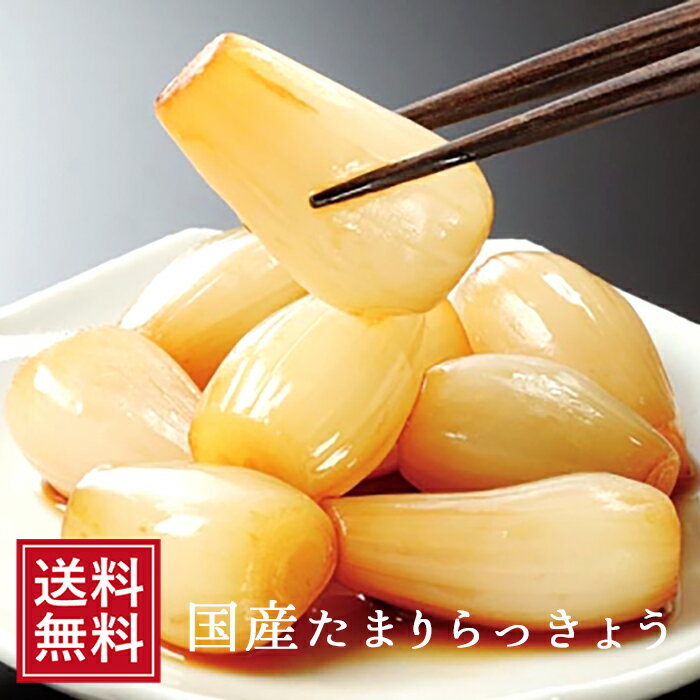 漬物 らっきょう漬け 国産 たまりらっきょう漬120g | ラッキョウ お漬け物 祝 ギフト ご飯の ...