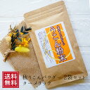 秋ウコン 粉末 50g×2袋 | お試し ターメリック うこん ウコン茶 カレースパイス 秋うこん 料理 ギフト 女性 グルメ 食べ物 ポイント消化 turme...