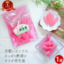 漬物 1000円ポッキリ サラダ芽生姜 240g×1袋 | 酢漬 ガリ 漬け物 酢しょうが 惣菜 話題 人気 ご飯のお供 つけもの ジンジャー 酢ショウガ 酢生...