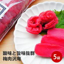漬物 葉付梅肉たくあん 5本 漬け物 大根 沢庵 タクアン だいこん 葉付き 大根 ギフト たくわん 朝ごはん 女性 酒の肴 グルメ 義理 自分 食べ物 つまみ...
