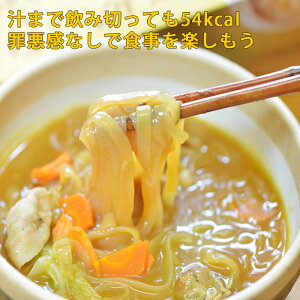 こんにゃくカレーうどん 10食 カレースープ付 セット 訳あり ダイエット 通販 料理 こんにゃく麺 ヌードル 蒟蒻 コンニャク 置き換え 食事 業務用 食品 プチギフト 常温 * 5298 低カロリー おやつ コロナ太り 対策グルメ バレンタイン 送料無料 義理 自分