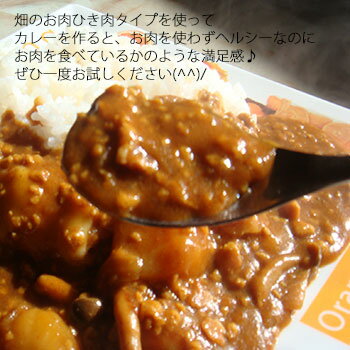 畑のお肉 ひき肉タイプ350g×3袋 大豆加工食品 大豆ミート ヘルシー 挽肉 なまため 祝 ギフト ベジタリアン 唐揚げ 大豆 煮物 カロリーオフ 代替 肉の代わり 後払い決済 常温 * 5298 キャッシュレス 女性 グルメ バレンタイン 送料無料 義理 自分格安通販　バレンタイン　人気　ランキング