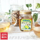 メグスリノ木飴 250g×2瓶セット 目薬の木 めぐすり 祝 ギフト 目薬の木茶 紅葉 ティー 備蓄 女性 グルメ 義理 自分 友達 食べ物 常温保存 敬老の日 ギフト 差し入れ 珍しい 2000円 ポッキリ 送料無料 お中元 常温保存可 夏ギフト