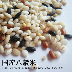 【国産100%】八穀米300g メール便 雑穀米 通販 なまため 祝 ギフト 後払い決済 国産八穀米 ヘルシー ギフト プレゼント 5298 グルテンフリー キャッシュレス 女性 グルメ バレンタイン 送料無料 義理 自分